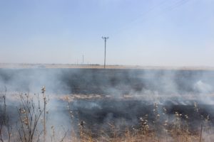 Şanlıurfa’da 40 dönüm buğday ekili alan yandı