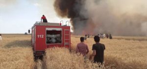 Şanlıurfa’da 100 dönüm buğday ekili alan yandı