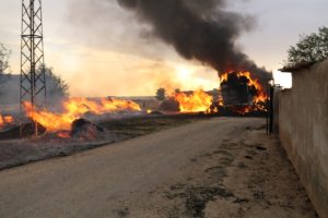 Şanlıurfa’da elektrik tellerine değen saman balyası yüklü tır yandı