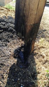 Şanlıurfa’da anız yangınlarında 26 elektrik direği zarar gördü