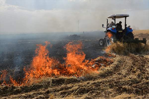 Anız Yakmak Verimi Düşürüyor!
