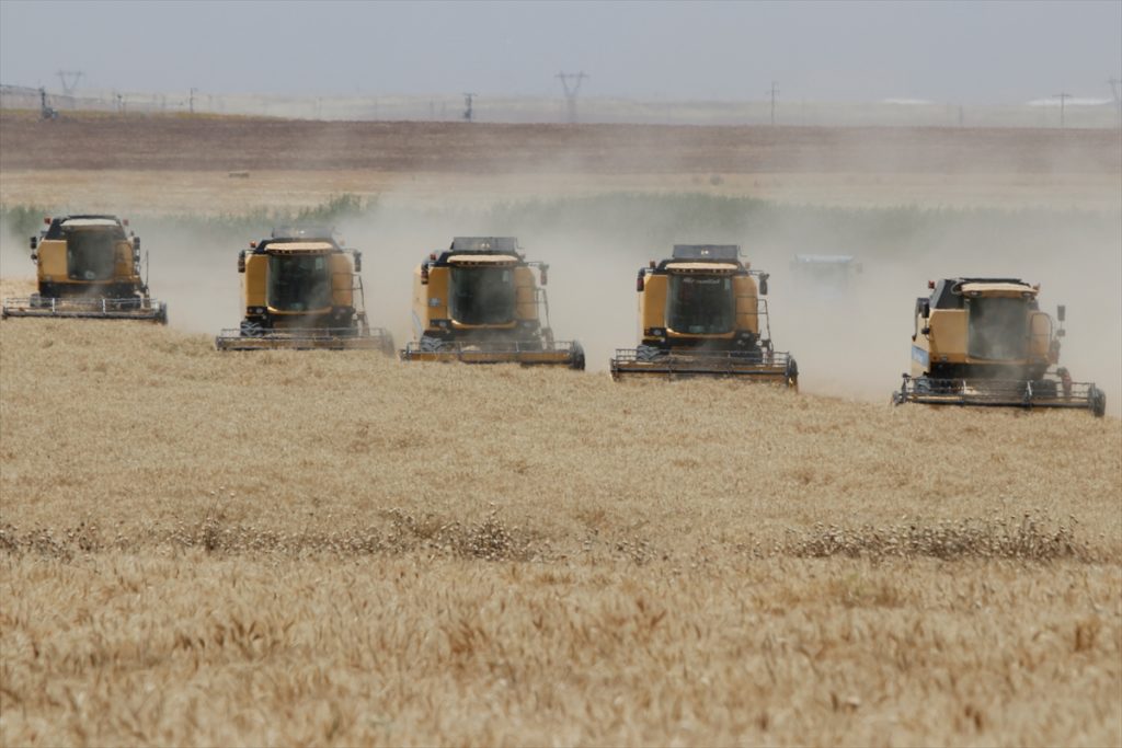 “Türkiye’nin en büyük çiftliği”nde hasat bitmeden ekim başladı