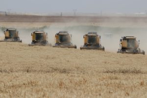 “Türkiye’nin en büyük çiftliği”nde hasat bitmeden ekim başladı