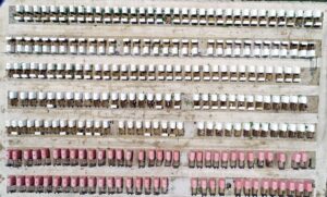 Türkiye’nin hayvancılık üssü: TİGEM