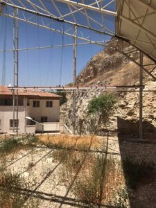 Şanlıurfa’da koruma altındaki kelaynakların kafesleri yenilendi