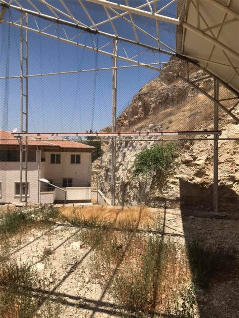 Şanlıurfa’da koruma altındaki kelaynakların kafesleri yenilendi