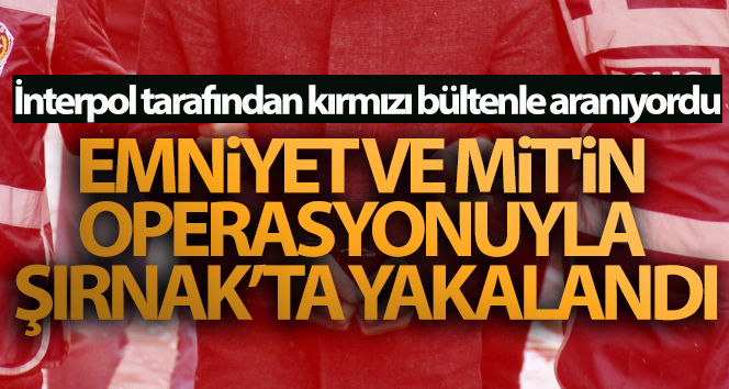 Kırmızı bültenle aranıyordu! Emniyet ve MİT’in operasyonuyla Şırnak’ta yakalandı