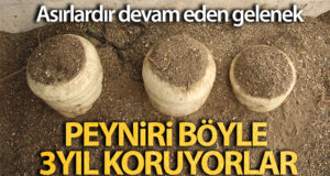 Kuma gömdükleri peyniri, 3 yıl boyunca bozulmadan tüketebiliyorlar