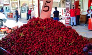 Şanlıurfa’da Erik ve Kiraza rağbet arttı