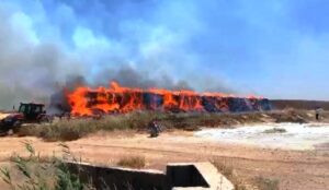 Anız yangınında tonlarca saman kül oldu