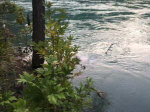 Urfalı Fotoğraf tutkunu kadın kanyonda suda boğuldu