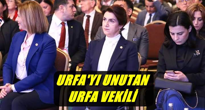 AÇANAL, URFA’NIN VEKİLİ OLDUĞUNU UNUTUNCA İSTANBUL’A TAKILDI