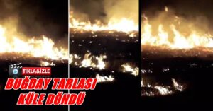 URFA’DA BUĞDAY TARLASI KÜLE DÖNDÜ