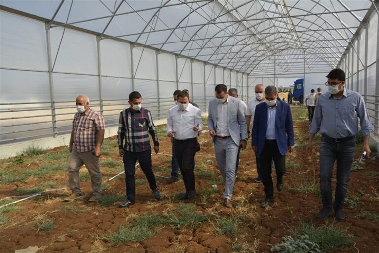 AK Parti Milletvekili Özşavlı’nın Viranşehir ziyareti