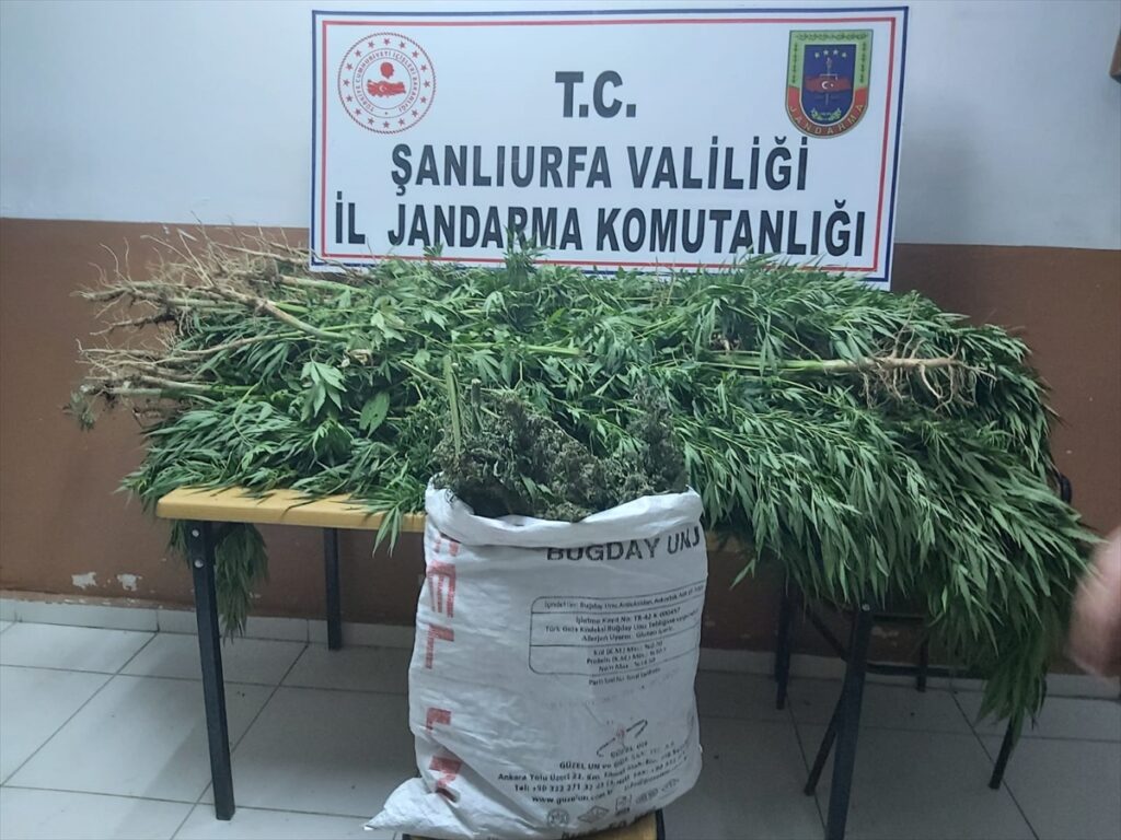 Şanlıurfa’da uyuşturucu operasyonunda 7 kişi tutuklandı