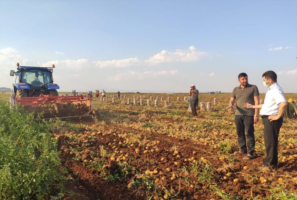 Viranşehir’de alternatif tarım gelişiyor