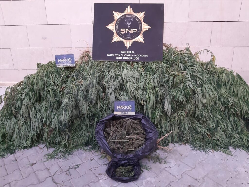 Şanlıurfa’da düzenlenen uyuşturucu operasyonunda 16 zanlı tutuklandı
