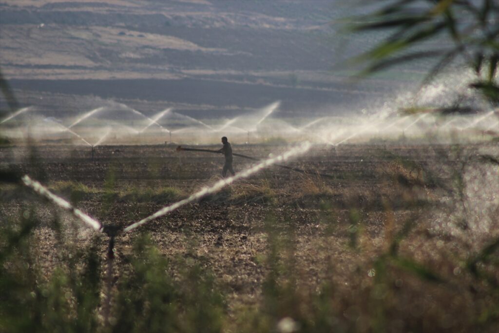 Suyla bereketlenen Suruç Ovası’nda üretim de istihdam da arttı