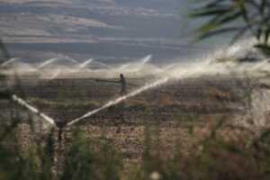 Suyla bereketlenen Suruç Ovası’nda üretim de istihdam da arttı