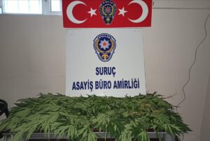 Şanlıurfa’da uyuşturucu operasyonunda 1 şüpheli gözaltına alındı