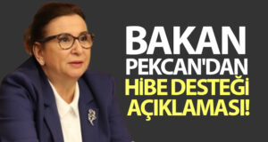 Bakan Pekcan’dan hibe desteği açıklaması