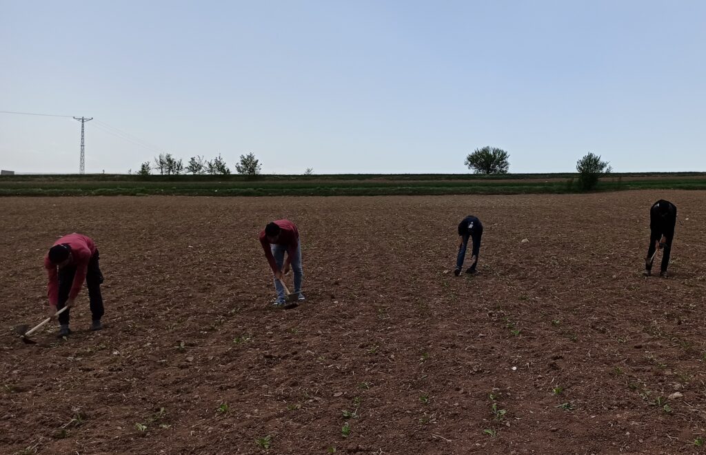 Sosyal mesafeli üretim ve ekonomiye katkı