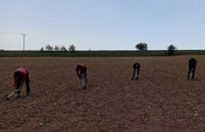 Sosyal mesafeli üretim ve ekonomiye katkı