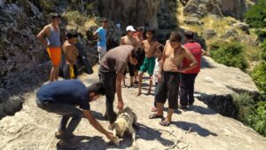 Şanlıurfa’da 20 metrelik sarnıca düşen köpek halatla kurtarıldı