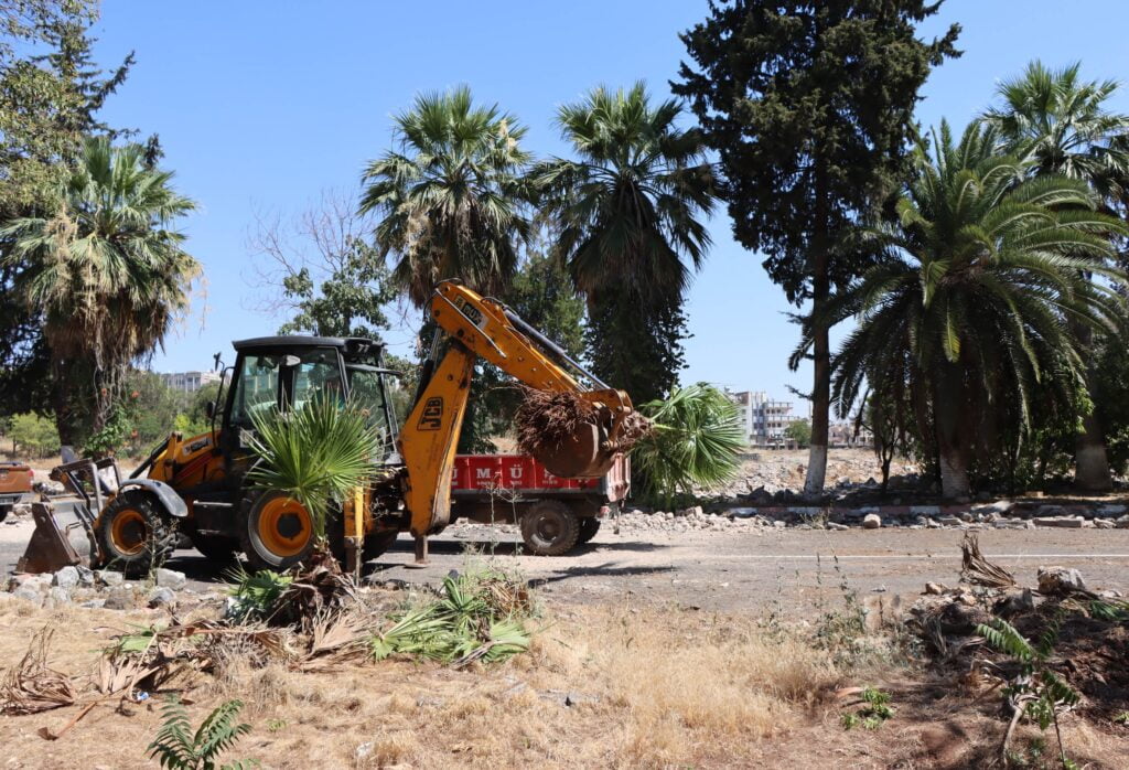 Kentsel dönüşüm projesi için ağaçlar naklediliyor