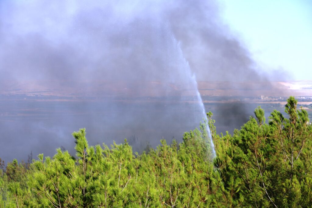 Şanlıurfa’daki orman yangını kontrol altına alındı