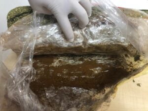 Dedektör köpek tepki vermesin diye uyuşturucunun yüzeyini kahve ile sıvamışlar