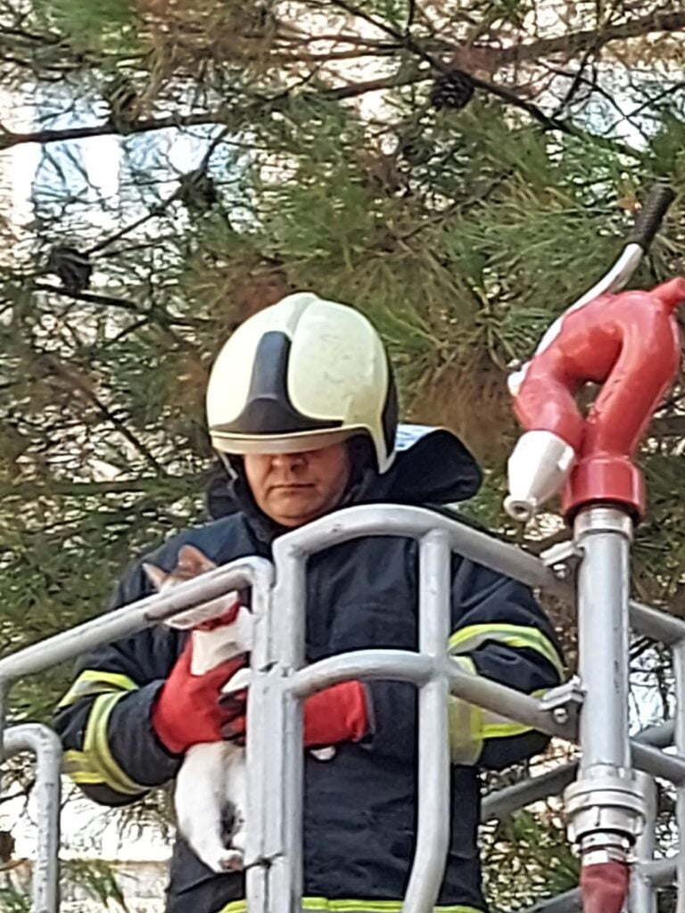 İtfaiyeden kedi kurtarma operasyonu