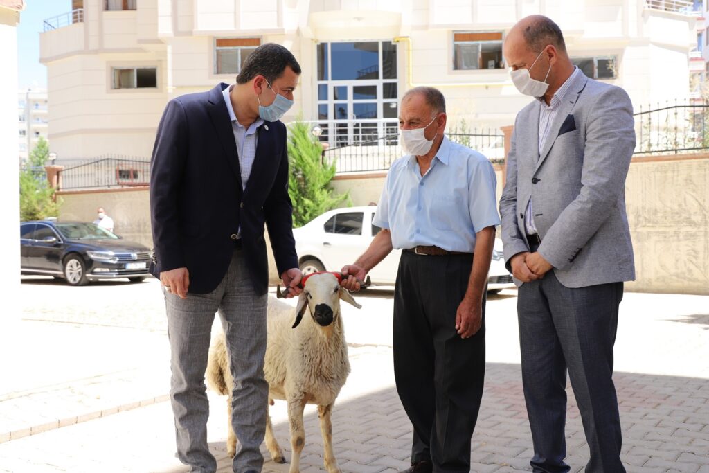 Şehit ailelerine kurbanlık koç
