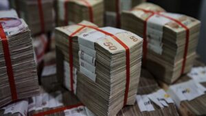 Salgından etkilenen 1.750 kadına 1 milyon 250 bin liralık mikro kredi desteği