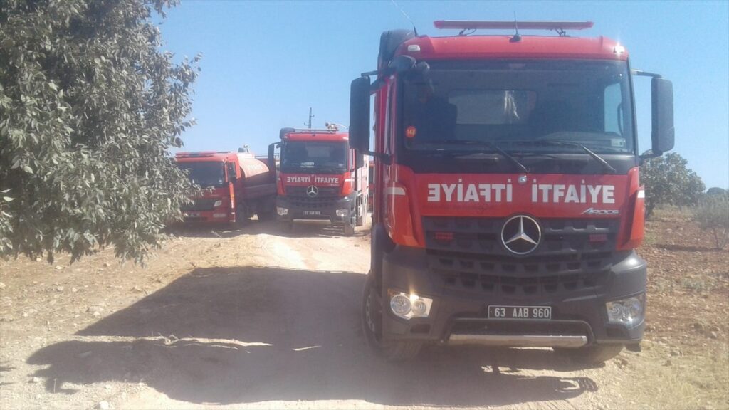 Halfeti’de örtü yangını ağaçlara zarar verdi