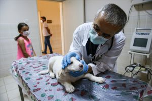 Kaliteli hizmetle binlerce hayvanı sağlığına kavuşturuyorlar