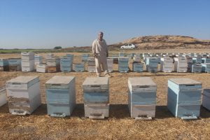 Şanlıurfa’da Borç aldığı arılarla başladığı bal üretiminde taleplere yetişemiyor