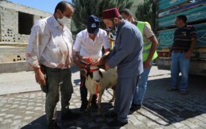 Eyyübiye’de onlarca aileye kurban verildi