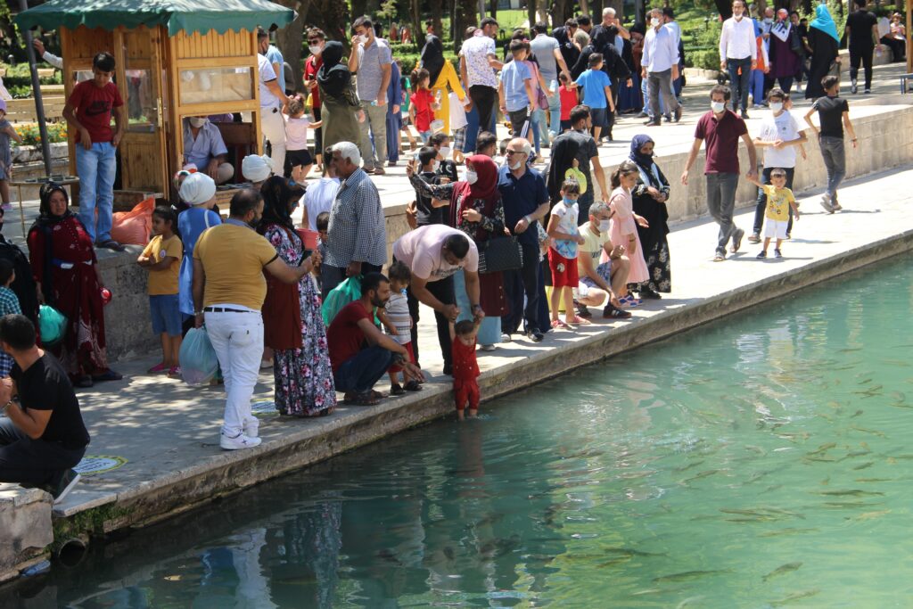 Şanlıurfa’da Balıklıgöl’e yoğun ilgi