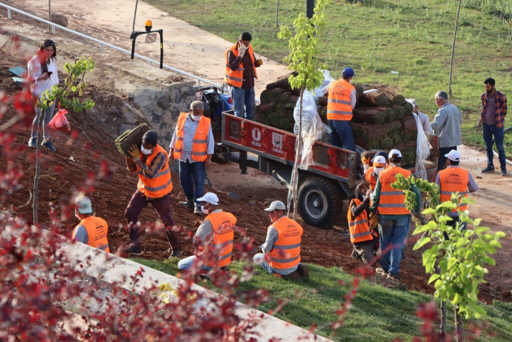 GAP Vadisi etap çalışmaları sürüyor