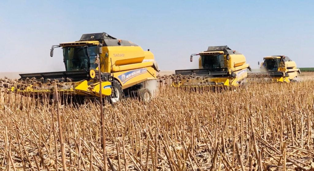 Tarımın yüz akı TİGEM’de ayçiçeği hasadı