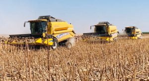 Tarımın yüz akı TİGEM’de ayçiçeği hasadı