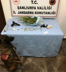 Şanlıurfa’da uyuşturucu operasyonu