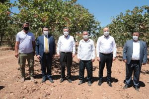 Şanlıurfa Belediye Başkanı Beyazgül’den fıstık üreticilerine ziyaret