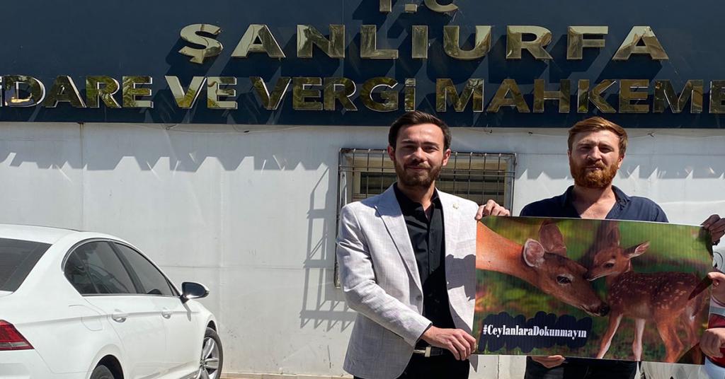 MÜCADELEDEN MÜJDE GELDİ! URFA CEYLANLARI ÖLDÜRÜLMEYECEK