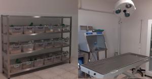 HARRAN ÜNİVERSİTESİ BİLİMSEL ÇALIŞMALARDA HIZ KESMİYOR