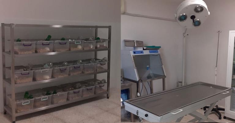 HARRAN ÜNİVERSİTESİ BİLİMSEL ÇALIŞMALARDA HIZ KESMİYOR