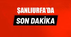 Şanlıurda’da Son Dakika! Genç Kız Ağaca Astığı İple İntihar Etti