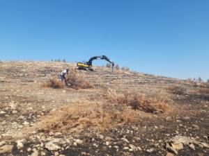 Şanlıurfa’da Yanan Alanlarda Çalışmalar Başladı