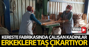 Kereste fabrikasında çalışan kadınlar erkeklere taş çıkartıyor